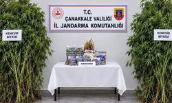 Çanakkale'de uyuşturucu operasyonuna 1 tutuklama