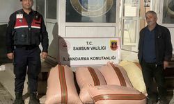 Çarşamba'da fındık dolandırıcılığı: 2 gözaltı