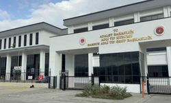 Dedesinin kullandığı aracın çarptığı 2,5 yaşındaki çocuk hayatını kaybetti