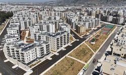 Depremin ardından çorak araziye dönen bölge depremzede vatandaşlara yuva oldu