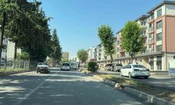 Depremin yıktığı Adıyaman yeniden yükseliyor