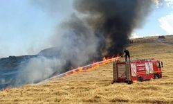 Diyarbakır'da anız yangınlarının yüzde 91'i temmuz-eylül arasında kaydedildi