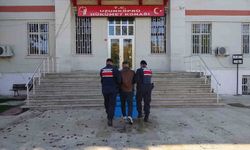 Edirne'de 23 düzensiz göçmen yakalandı, organizatör tutuklandı