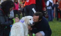 Eker I Run'da bu kez patili dostlar koştu