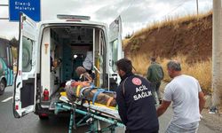 Elazığ'da kamyonun çarptığı adam yaralandı