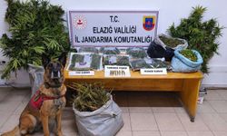 Elazığ'da uyuşturucu operasyonu: 3 tutuklama