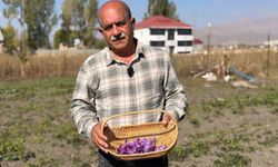 Esnaflığı bıraktı, tarlada serveti buldu: Kilosu 1 milyon lirayı bulan 'kırmızı altın' hayatını değiştirdi
