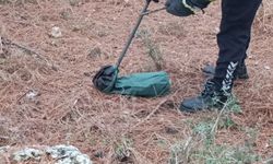 Evin girişinde bulunan yılan, itfaiye ekiplerince doğaya bırakıldı