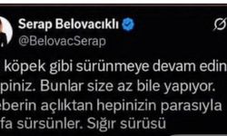 Gazeteci Serap Belovacıklı hakkında soruşturma başlatıldı