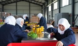 Gürsu Ovası'na kadın eli değdi