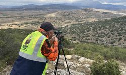 Isparta'da çiftçileri canından bezdiren yaban domuzlarına operasyon