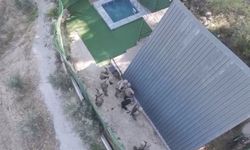 İzmir'de 9 yıldır aranan firari hükümlü özel harekât destekli operasyonla yakalandı