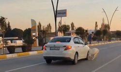 Karayoluna fırlayan 3 keçi aracın çarpması sonucu telef oldu