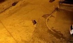 Kars'ta ayılar mahalleyi istila etti