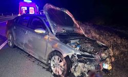 Kastamonu'da otomobil domuz sürüsüne çarptı: 2 yaralı