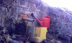 Muratlı'da fotokapan yaban hayatını kaydetti: Gelincik, çakal ve domuz sürüsü görüntülendi