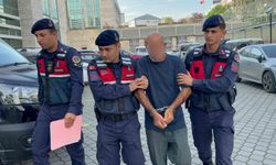 Orman envanterlerini çalarken suçüstü yakalandı