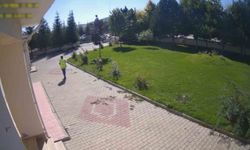 Polisten yardım istedi, hayata tutundu