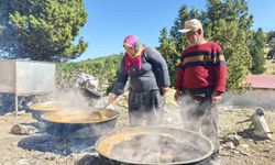 Sahilden yaylaya uzanan doğal yaşam ve Toroslar'da harnup pekmezi mesaisi
