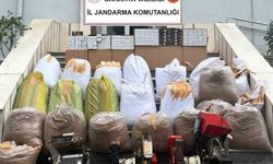 Sakarya'da kaçakçılık operasyonu