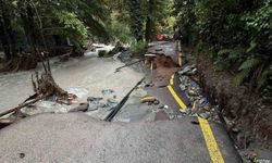 Sakarya'da selin önüne kattığı her şey sürüklendi