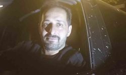 Şehre inen kurdu otomobiliyle kovaladı