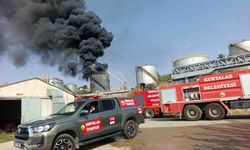 Siirt'te petrol sahasında yangın: Söndürme çalışmalarına TOMA da katıldı