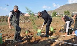 Silifke'de Şehit Savcı Mehmet Selim Kiraz Hatıra Ormanı yeniden yeşilleniyor