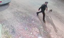Siverek'te Kangal köpeğin çalınma anı kamerada