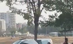 Siverek'te otomobil ağaca ok gibi saplandı: 3 yaralı