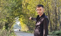 Tokat'ta kavak ağaçlarından sonbahar tüneli