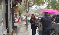 Tunceli'de sağanak yağış etkili oldu