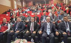 Türkiye kaz yetiştiriciliğinde dünyada 7'nci sırada