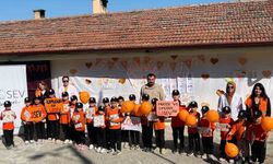 Vezirköprü'de öğrencilere yönelik lösemi farkındalığı