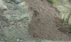 Yayla yolunda toprak kayması yaşandı