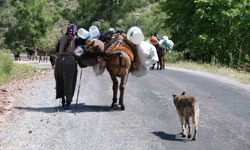 Yörüklerin Toroslar'dan sahile dönüş yolculuğu başladı