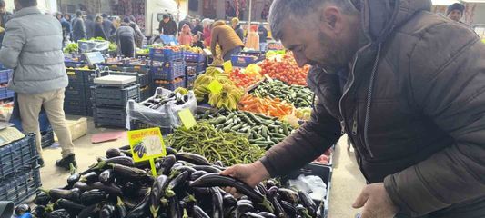Antalya'daki olumsuz hava şartları patlıcanın tadını kaçırdı