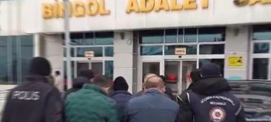 Bingöl'de göçmen kaçakçılığı operasyonu: 12 düzensiz göçmen yakalandı