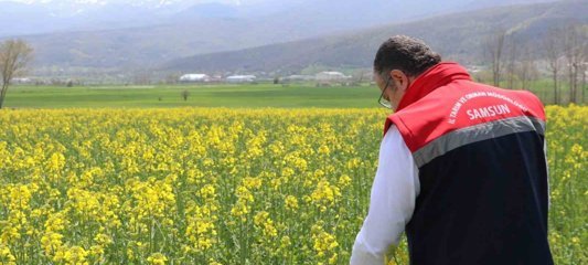 Ayçiçeği ve kuru fasulye tohumları çiftçilere teslim edildi