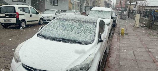 Karlıova'da nisan karı etkili oldu