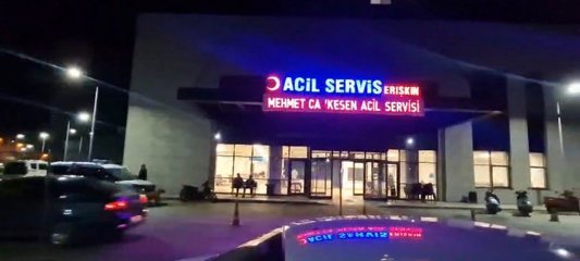 Tartıştığı kadını öldürdü, ardından bileklerini kesti