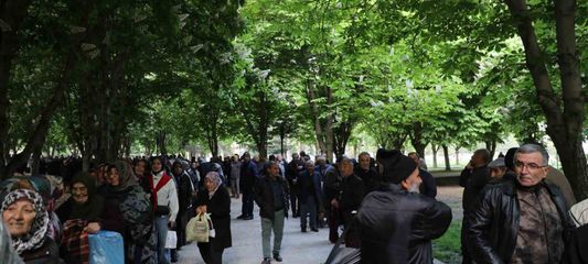 Kayseri'de 300 bin kök organik domates fidesine yoğun ilgi