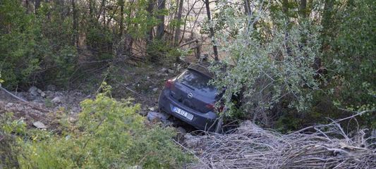 Kontrolden çıkan otomobil Harşit Çayı'nın kenarında durabildi