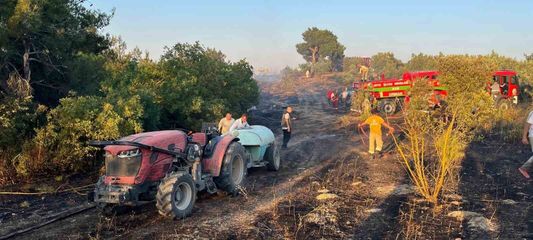 Bilecik sınırına yaklaşan alevler kontrol altına alındı