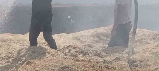 Bingöl'de arazi yangını: 2 bin dönüm arazi zarar gördü