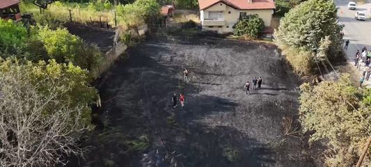 Jandarma, alevlerin arasındaki kaplumbağa ve yavrularını kurtardı