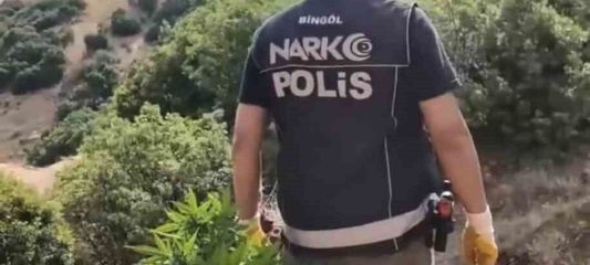 Bingöl'de uyuşturucu operasyonu: 3 şüpheli tutuklandı