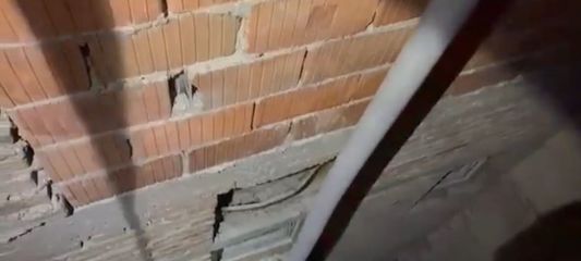 Düştüğü alana inebilmek için 1 saat hazırlık yapan itfaiye ekibine kediden son saniye sürprizi