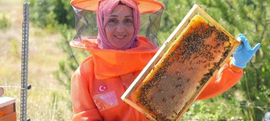 Merakı kadın girişimcinin mesleği oldu, ürettiği bal ve arı sütü için her hafta 900 kilometre yol kat ediyor