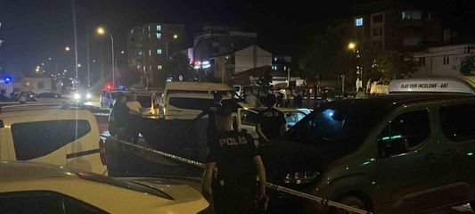 Yol kenarındaki otomobilde bir kadın ölü, bir kişi ağır yaralı halde bulundu